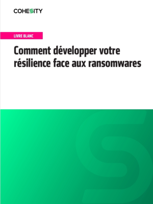 Comment développer votre résilience face aux ransomwares