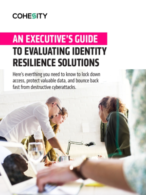 An Executive's Guide to Evaluating Identity Resilience Solutions
