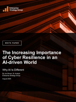 The Increasing Importance of Cyber Resilience in an AI-driven World