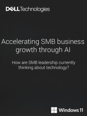 Accelerating SMB Business Growth Through AI