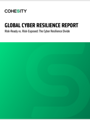 Vanson Bourne Report (Global version)