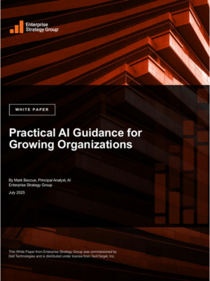 Practical AI Guidance for Growing Organisations