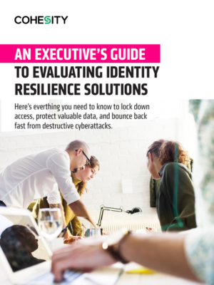 An Executive's Guide to Evaluating Identity Resilience Solutions