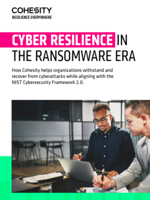 Cyber resilience in the ransomware era