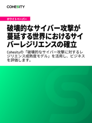 破壊的なサイバー攻撃が蔓延する世界におけるサイバーレジリエンスの確立