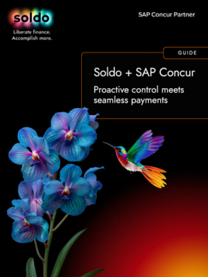 Enhancing SAP Concur Control