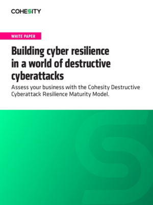 Building Cyber Resilience in a World of Destructive Cyberattacks